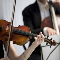 Stamic Quartet Will Perform at Euroart Prague Festival in June