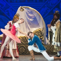 Russian National Ballet Will Bring SLEEPING BEAUTY to Rhyl Pavilion Photo