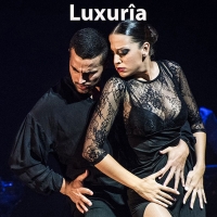 Barcelona Flamenco Ballet Brings LUXURIA to Glendale's Alex Theatre Photo