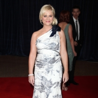 Amy Poehler's THE MOTHER-IN-LAW Gets NBC Pilot Commitment