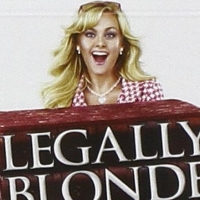 Sunny Showtunes: Keep It 'Positive' with LEGALLY BLONDE Photo