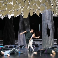 Hungarian State Opera Presents THE WOODEN PRINCE