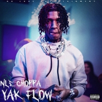Rapper NLE Choppa Debuts New Single, 'Yak Flow,' in Anticipation of North American To Photo