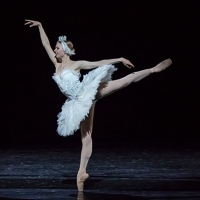The National Ballet of Canada Announces 2022/23 Promotions; Genevieve Penn Nabity Pro Photo