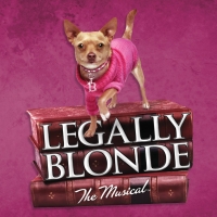 LEGALLY BLONDE Comes to Jefferson Performing Arts Center This Week Photo