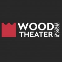 Chuck Schumer Promotes 'Save Our Stages' at the Wood Theater in Glens Falls Photo