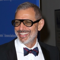 Jeff Goldblum In Final Talks to Join WICKED Movie as The Wizard Photo