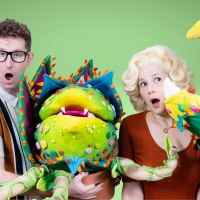 LITTLE SHOP OF HORRORS Opens 56th Season at Meadow Brook Theatre Video