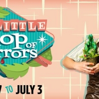 Berkeley Playhouse Will Present LITTLE SHOP OF HORRORS in May Photo