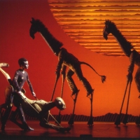Tickets For Disney's THE LION KING at Overture Go On Sale This Friday