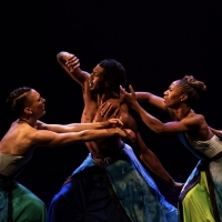 Deeply Rooted Performs At Navy Pier, September 25 Interview