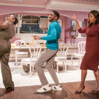 Photo Flash: First Look at Production Photos of FAIRVIEW at Young Vic Photo