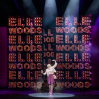LEGALLY BLONDE - THE MUSICAL Plays Buddy Holly Hall In March Photo