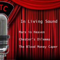 Vienna Theater Company Presents IN LIVING SOUND Photo