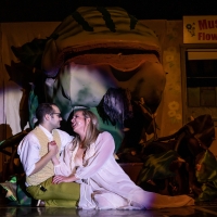 Photos: First look at Wagnalls Community Theatre's LITTLE SHOP OF HORRORS Photo