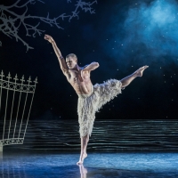Photo Flash: First Look at Matthew Bourne's SWAN LAKE at the Ahmanson