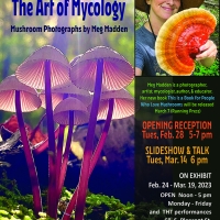 The Art of Mycology: Mushroom Photographs by Meg Madden Comes to the Jackson Gallery  Photo