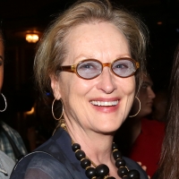 Alex Brightman, Meryl Streep & More Join Bette Midler's HULAWEEN