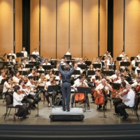 The Brevard Project to Host Orchestra Intensive Photo