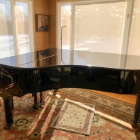 Family Auctions Special Edition Piano For Bangor Symphony Youth Orchestras Benefit