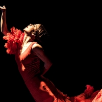CARMEN DE GEORGES BIZET is Now Playing at Gran Teatro Nacional de Peru