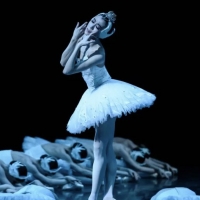 SWAN LAKE is Now Playing at the Opera National de Paris Photo