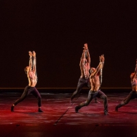 CUNY Dance Initiative Announces 2022-23 Resident Artists Photo