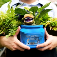 LITTLE SHOP OF HORRORS Comes to Stagecrafters