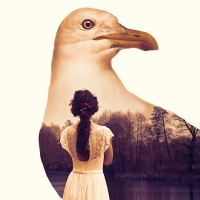 Independent Theatre's Season Kicks off With SEAGULL