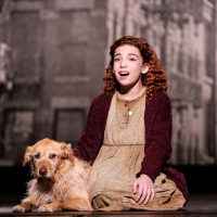 North American Tour of ANNIE Comes to the Aronoff Center Next Year