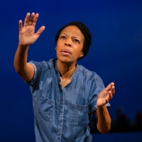 Photo Flash: First Look at Nilaja Sun in PIKE ST at Hartford Stage Video