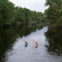 American River, New Documentary By Scott Morris, At The Mayo Performing Arts Center Photo