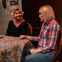 Photos: First look at Original Productions Theatre's An Evening with Lauren Wilk Photos