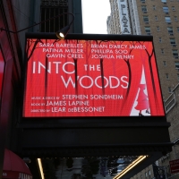 Up on the Marquee: INTO THE WOODS Photo