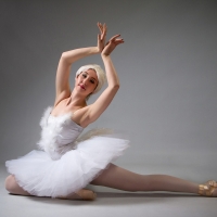 Northwest Ballet is Now Streaming ALORS ON DANSE Photo