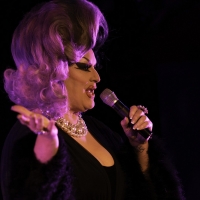 Photo Flash: Jackie Beats Holiday Show Opens At The Beechman Video