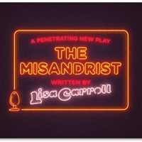 Metal Rabbit Presents THE MISANDRIST​​​​​​​ By Lisa Carroll Photo