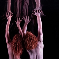 Dancenorth's RED Will Make QPAC Debut Photo