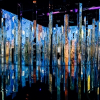 Photo Flash: First Look at IMMERSIVE VAN GOGH at Pier 36 Video