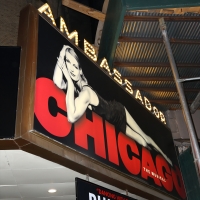 Theater Stories: The Many Stars of CHICAGO, the CHARLIE BROWN Revival & More About the Ambassador Theatre!