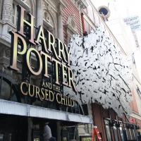 Theater Stories: HARRY POTTER AND THE CURSED CHILD, SPIDER-MAN: TURN OFF THE DARK &…