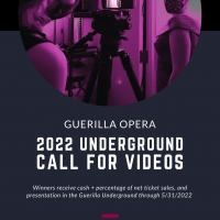 Guerilla Opera Calls For Video Entries Photo