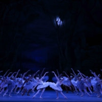 BWW Review: SWAN LAKE presented by The Washington Ballet at Kennedy Center Photo