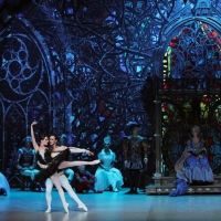 Russian Ballet Theatre Launches National Tour Of Legendary SWAN LAKE in Connecticut Photo