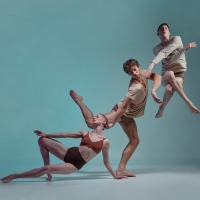 Sydney Dance Company Announces 2021 Season Video