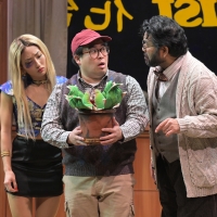 Photos: First Look at LITTLE SHOP OF HORRORS at TheatreWorks Silicon Valley Photo