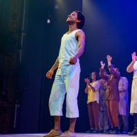 Photos: The Cast of LIFE OF PI Takes Their Opening Night Bows Photo