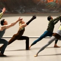 Young Creatives Announce Premiere of Three Dance Films