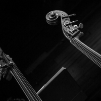 Det KGL. Teater Presents a Concert with The Royal Opera Academy Photo