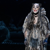 Photos: North American Tour of CATS Comes to Portland's Keller Auditorium Photo